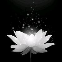 nhạc nền - Huynh Thi Định