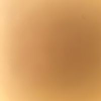 mishaal.alyami