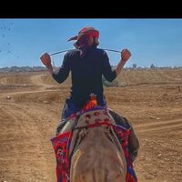 الصوت الأصلي