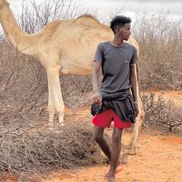 jeebane4