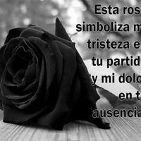marycastro4714