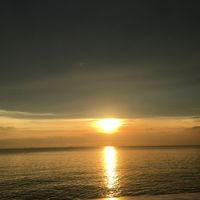 rolandaronda