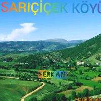 orijinal ses