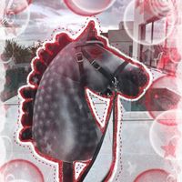 hobby.horse_thunder