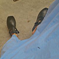jibran.43