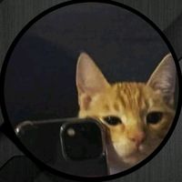 suara asli - ꉔꏂ꒒ BOYS