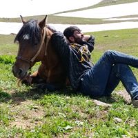 birandardemir