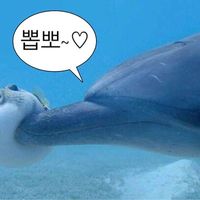 오리지널 사운드 - 냉면덕후