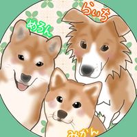 オリジナル楽曲 - ミカン&メロン&保護犬ライチ🍊🍈🐶