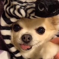mari.withnon