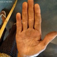 kru.palmistry