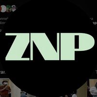 zeplinnandapratama_