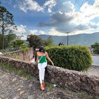 sare_navarrete