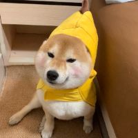 原声 - cuteer_6