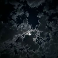ameed.masaed