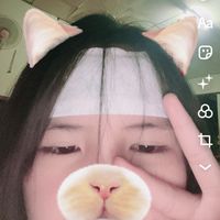 pv.pim