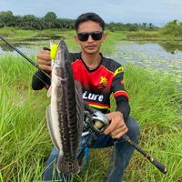 Enak dak yang