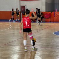 nisa.nn7