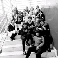 elmejorcurso210