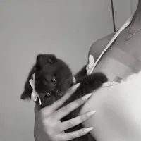 original sound - r.eli1ny