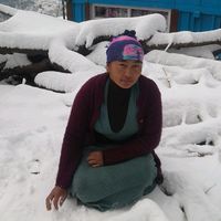 karmothokra746