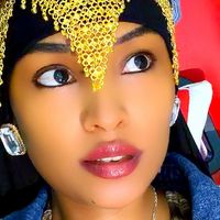 hinseene0