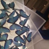 nourrrtamerr