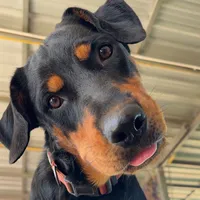 original sound - udomporn41