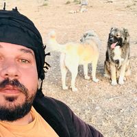 bdra__alrbihat