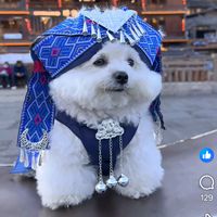 nhạc nền - chị🐉Na