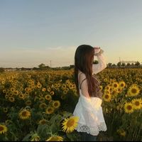 haru_k.917k