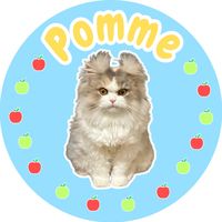 pomme_20220122