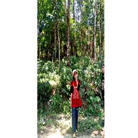 lasandar96