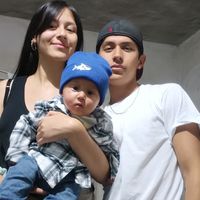 vane_em