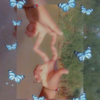 anyicoronelalvarado
