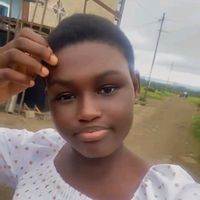bessemice