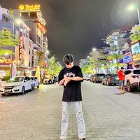 nhạc nền - Thái Viết Tây