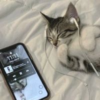 оригинальный звук