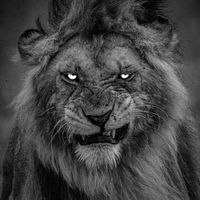 aslam_gbaren