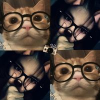 k4nxmroo_33