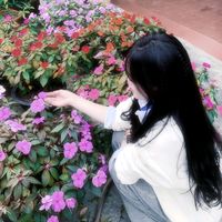 nhạc nền - Vânn nè💗