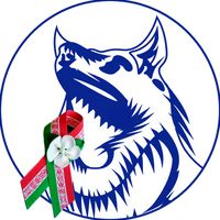 volkovysknews