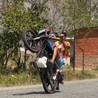 terrazajr18