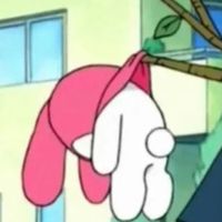 aerichyoung