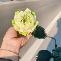 nhạc nền - Mộc Mộc 👩‍🌾🍀