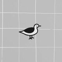 hshsbird