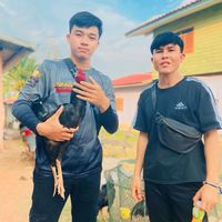 tam.tam7512