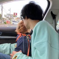 shibainu_28