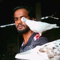 kkymaari