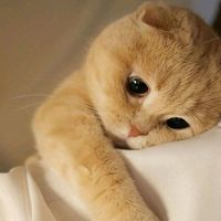 original sound - Richard B